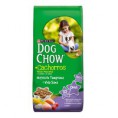 Dog Show Cachorros